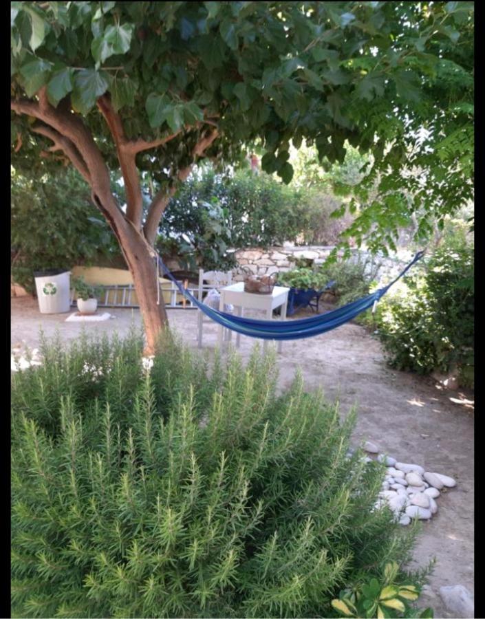 Apartment Sundeck *